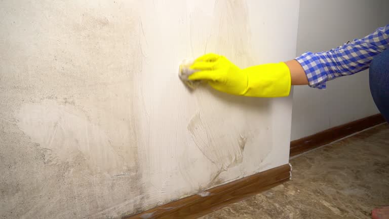 Best Industrial Mold Remediation  in Malvern, OH